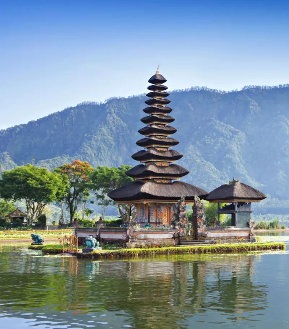 Untitled design (10)