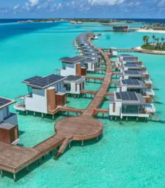 Untitled design (11)