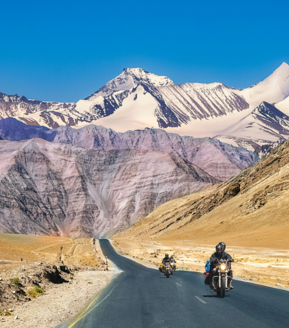 Untitled design (12)