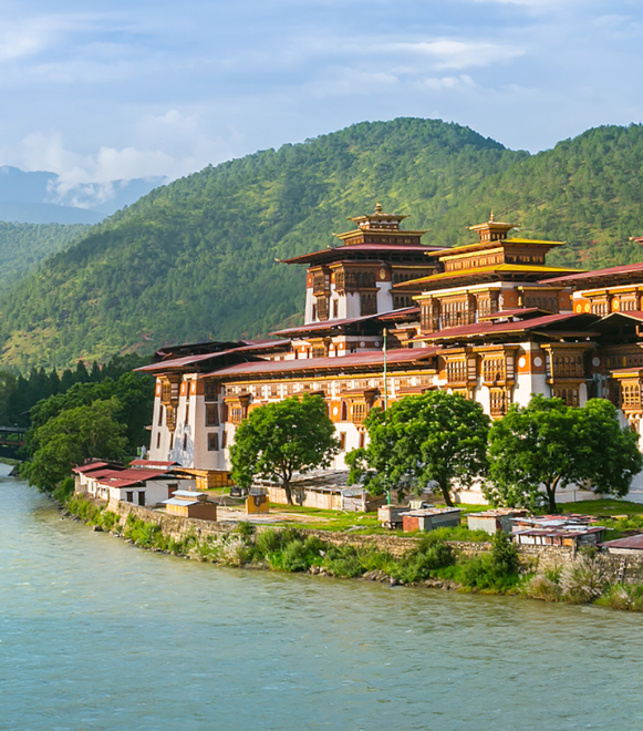 Untitled design (14)