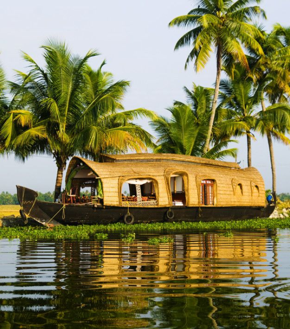 Untitled design (14)