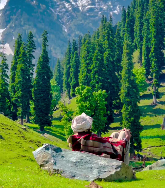 Untitled design (15)